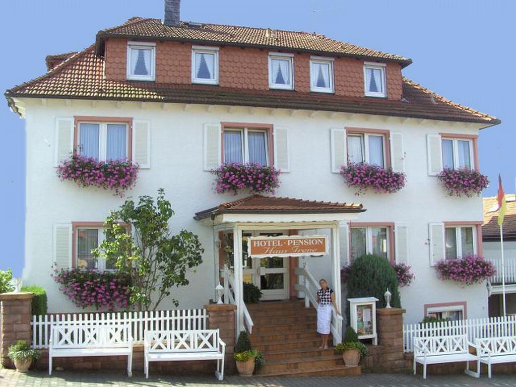 Hotel Irene Bad König Exteriér fotografie
