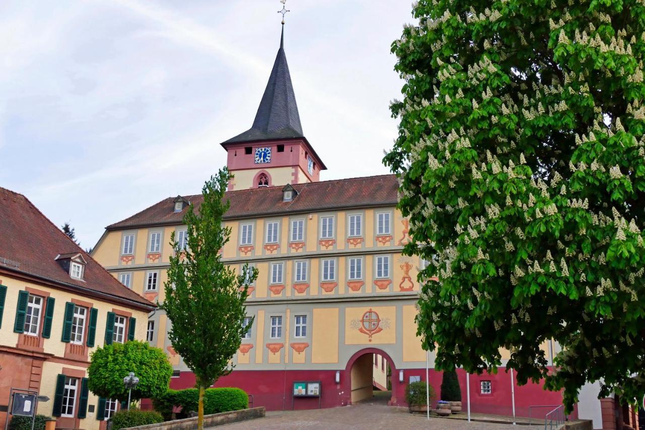 Hotel Irene Bad König Exteriér fotografie